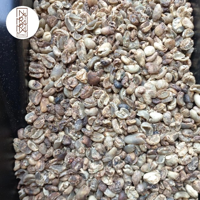 

Green Bean 1kg GRADE 4 MANDHELING SEMI WASH-Biji Kopi Sumatra Arabika