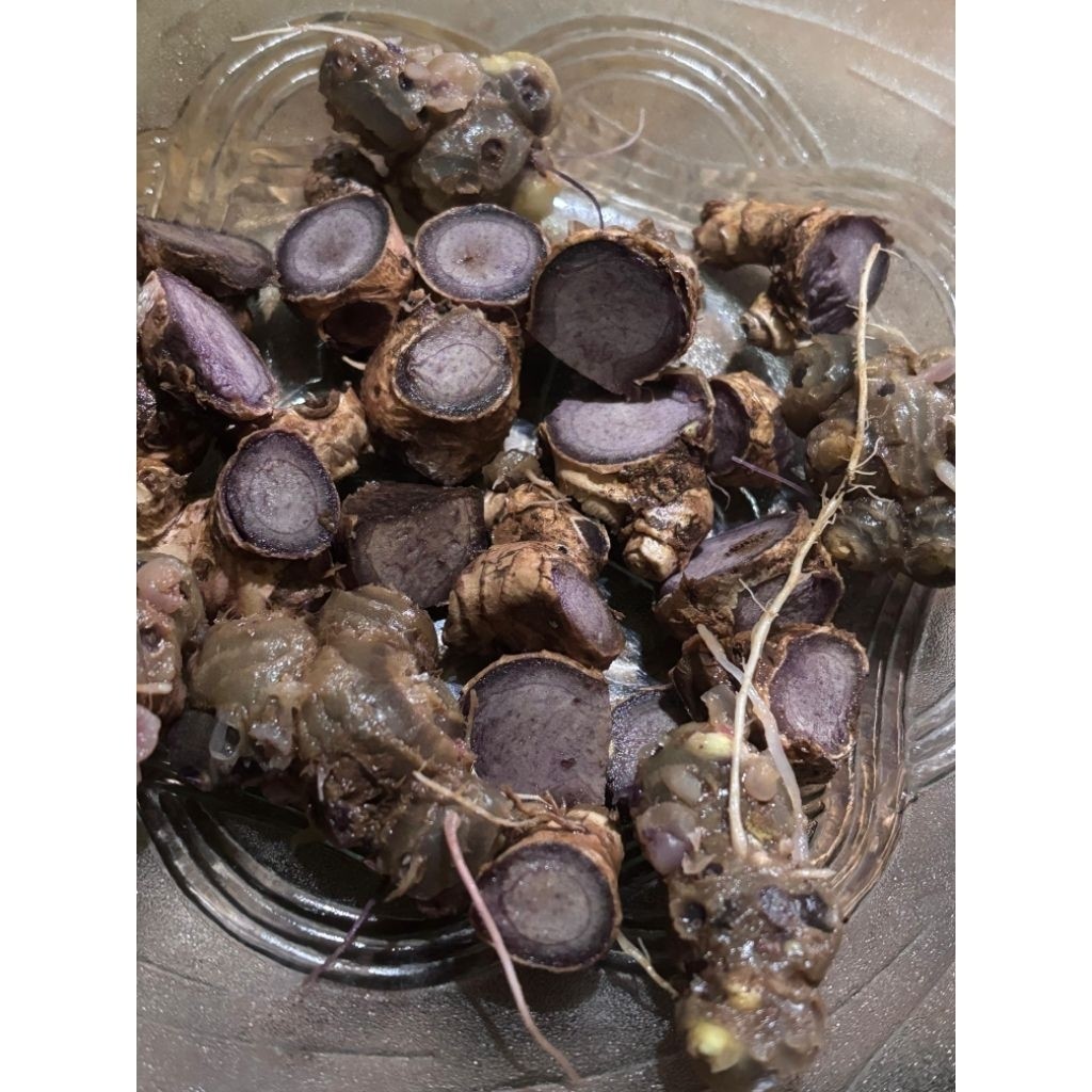 

KUNYIT HITAM 250gr NY