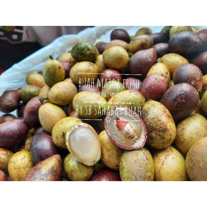 

BUAH MATOA FRESH RASA DURIAN UDBUAH 3 SAUDARA