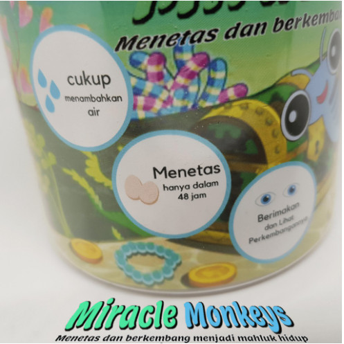 SALE -Miracle Monkey - Peliharaan Hidup Ajaib menetas dalam 1 hari - Sea Mon