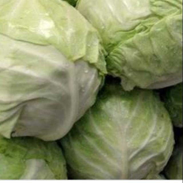 

Kol/ kubis berat 1 kg BRKAH