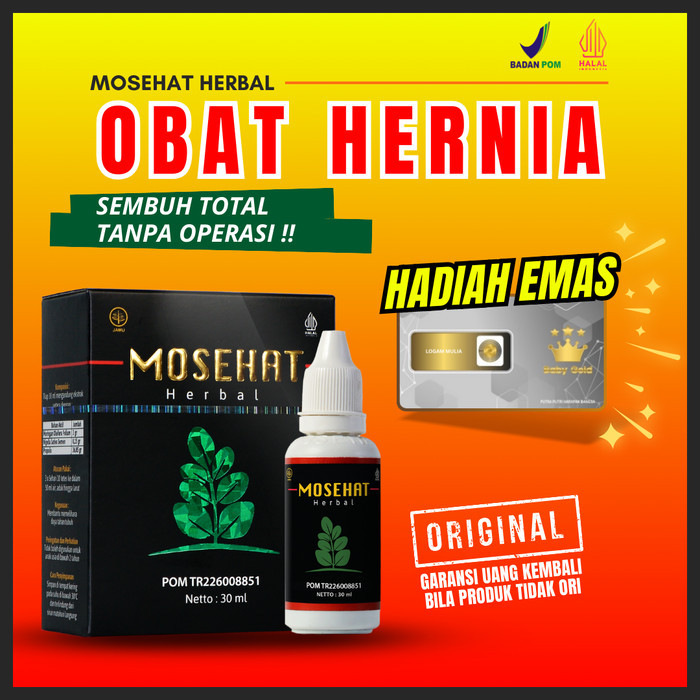 Mosehat Herbal Obat Hernia Paling Ampuh Tanpa Operasi Original