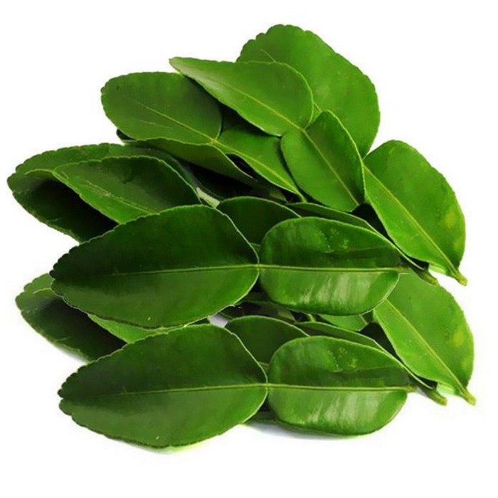 

READY SERBA MURAH Daun Jeruk Daun Jeruk Purut Rempah Rempah Bumbu Dapur