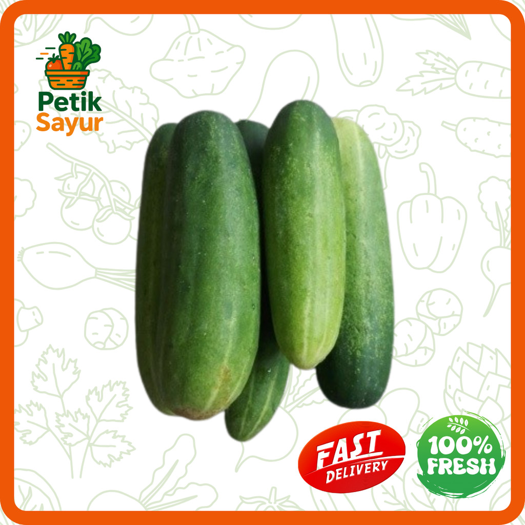 

Timun Baby Konvensional 500 gram PetikSayur