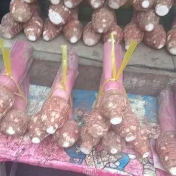 

tales Bogor fresh 1kg-1,5kg