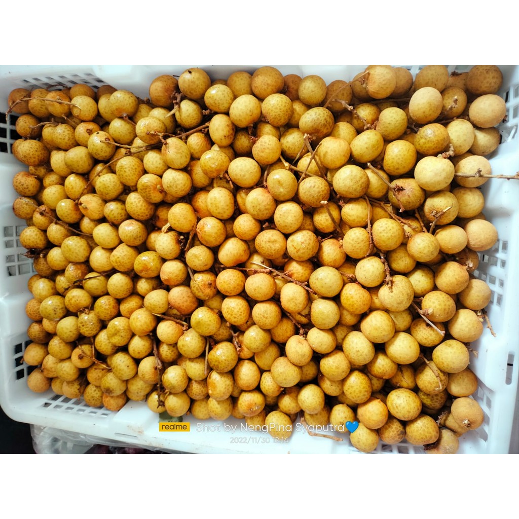 

Kelengkeng 500gr