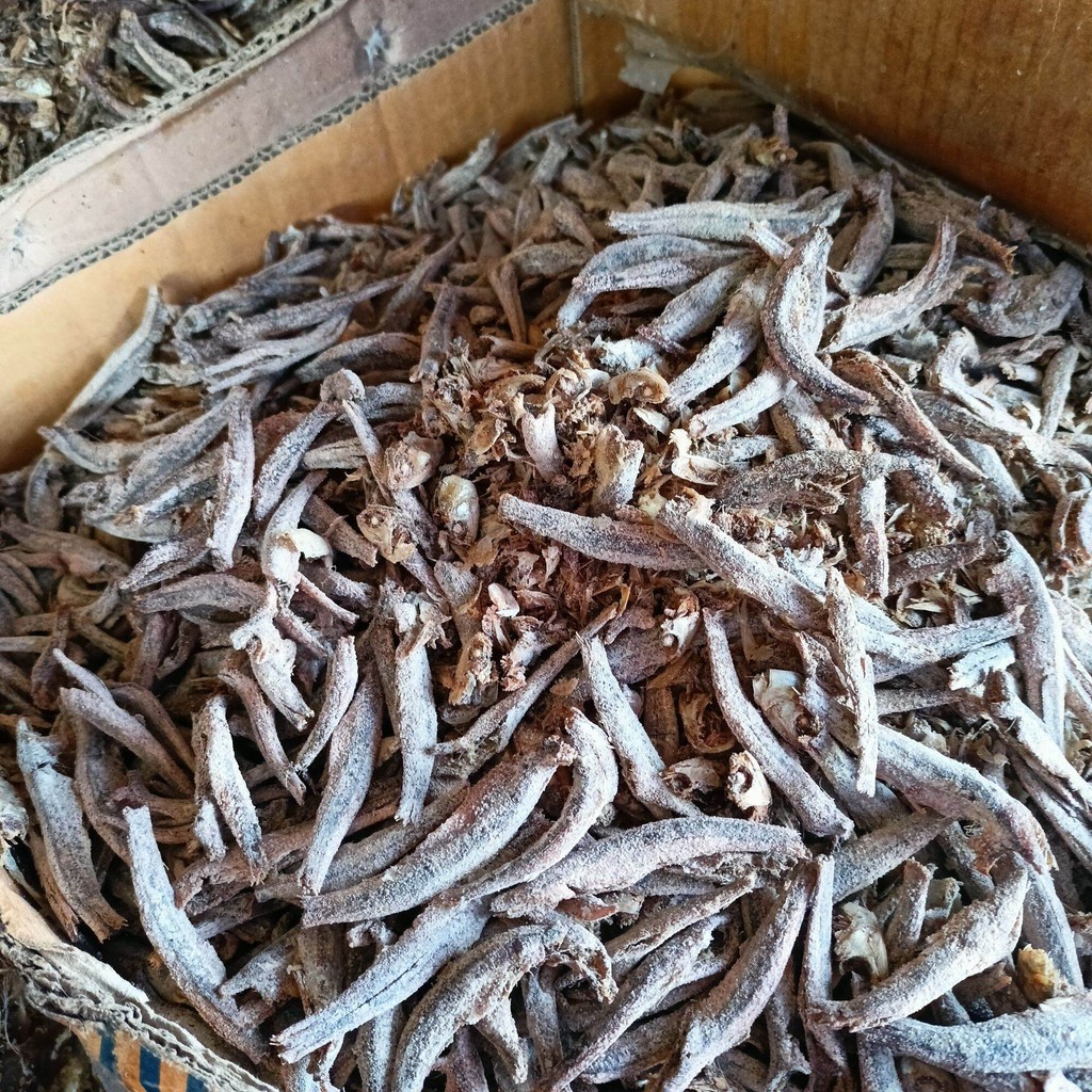 

Teri tawar siap masak dengan berbagai pilihan masakan sesuai selera Anda tersedia Dengan isi 250 gram per satu pembelian