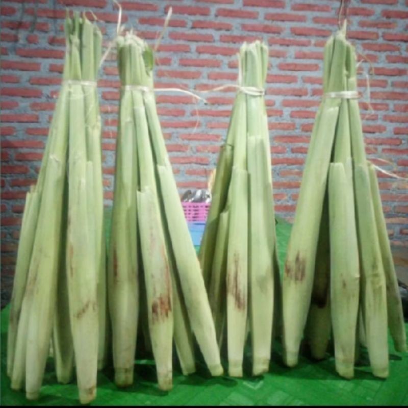 

Terubuk sayur segar 10 batang