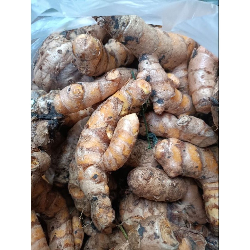 

Rimpang Temulawak Segar 1Kg