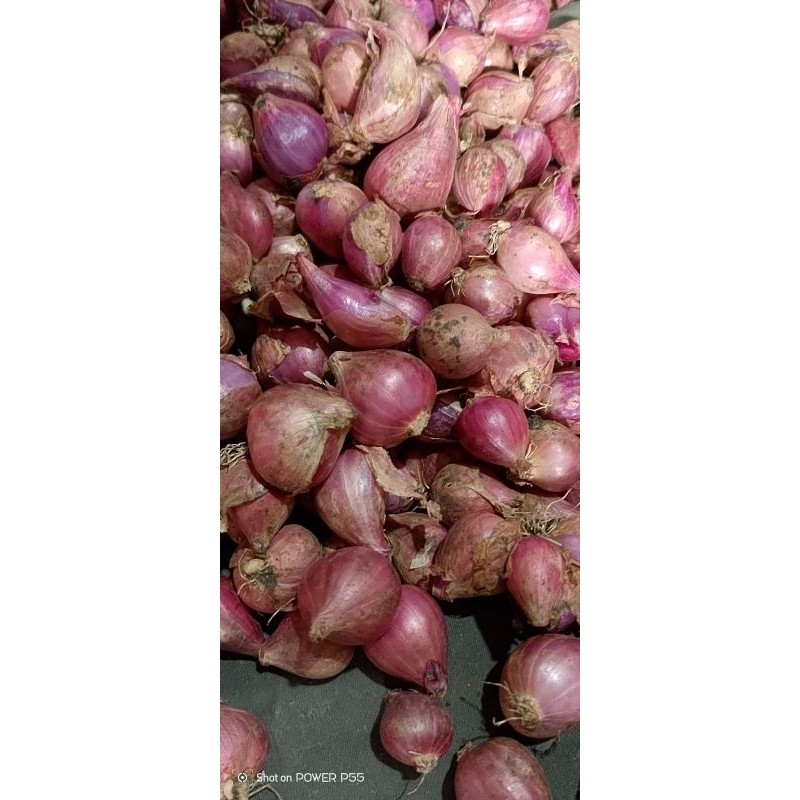 

SERBA MURAH bawang merah kecil lokal nganjuk varian 100gr 250gr 500gr