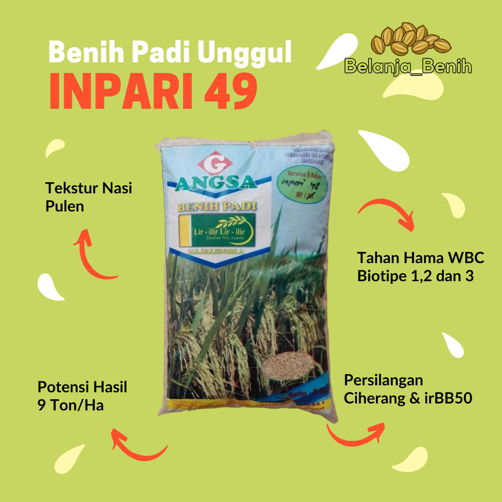 Benih Padi Inpari 49 Jembar