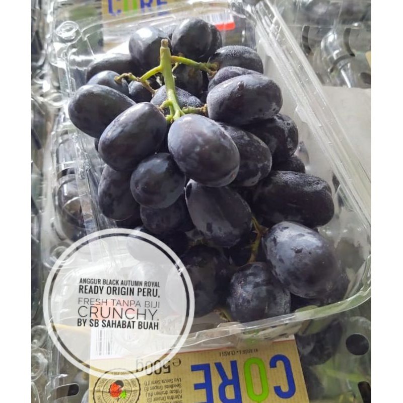 

BUAH ANGGUR HITAM BLACK AUTUMN UDBUAH 3 SAUDARA
