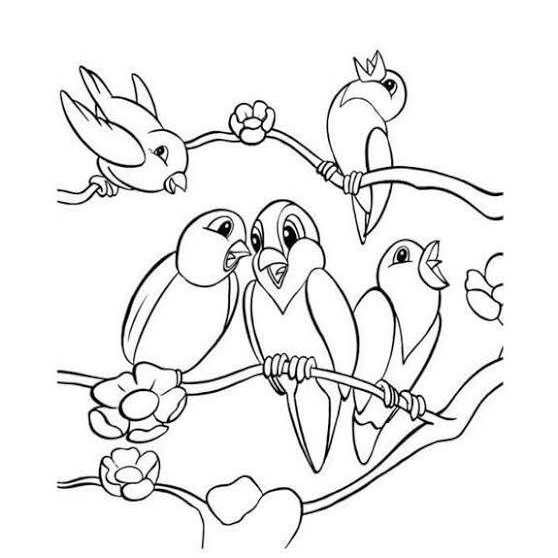 

Isi 20 Lembar kertas mewarnai burung ukuran A4 untuk anak paud TK dan SD