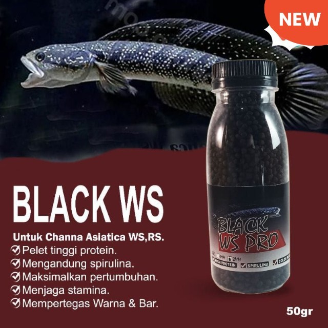 Pelet Black WS PRO pakan ikan channa asiastica ws Pelet channa asiastika ws rs