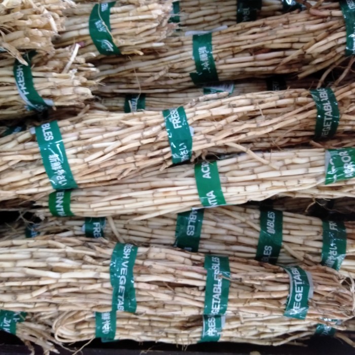 

akar alang-alang fresh & kering /ikat/pcs