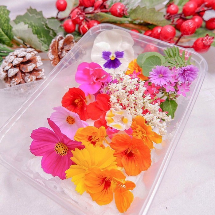 

✨TERLARIS -MIX EDIBLE FLOWER