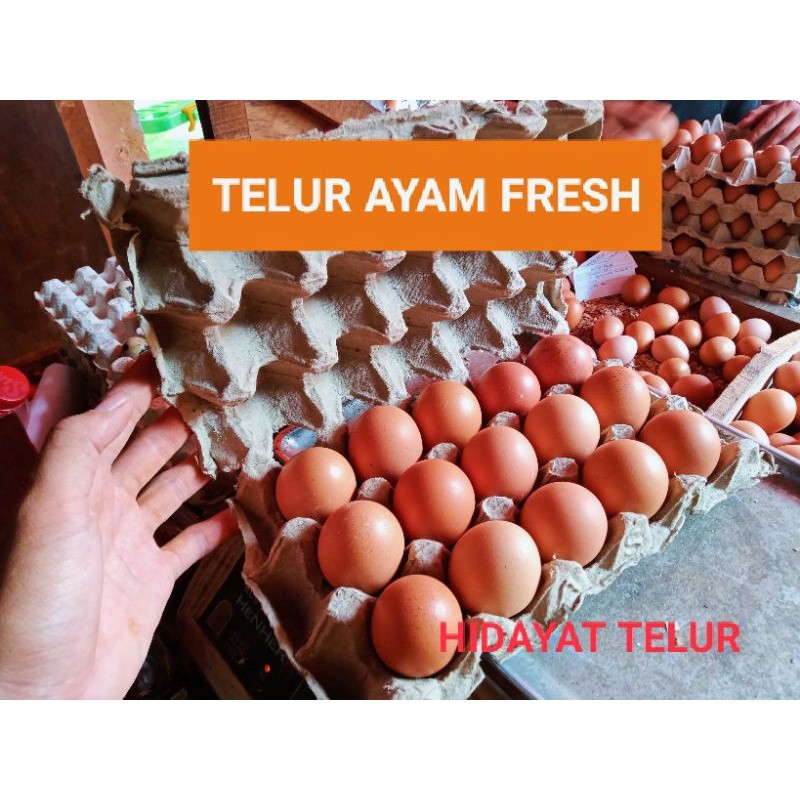 

TELUR AYAM NEGERI PER 5 BUTIR