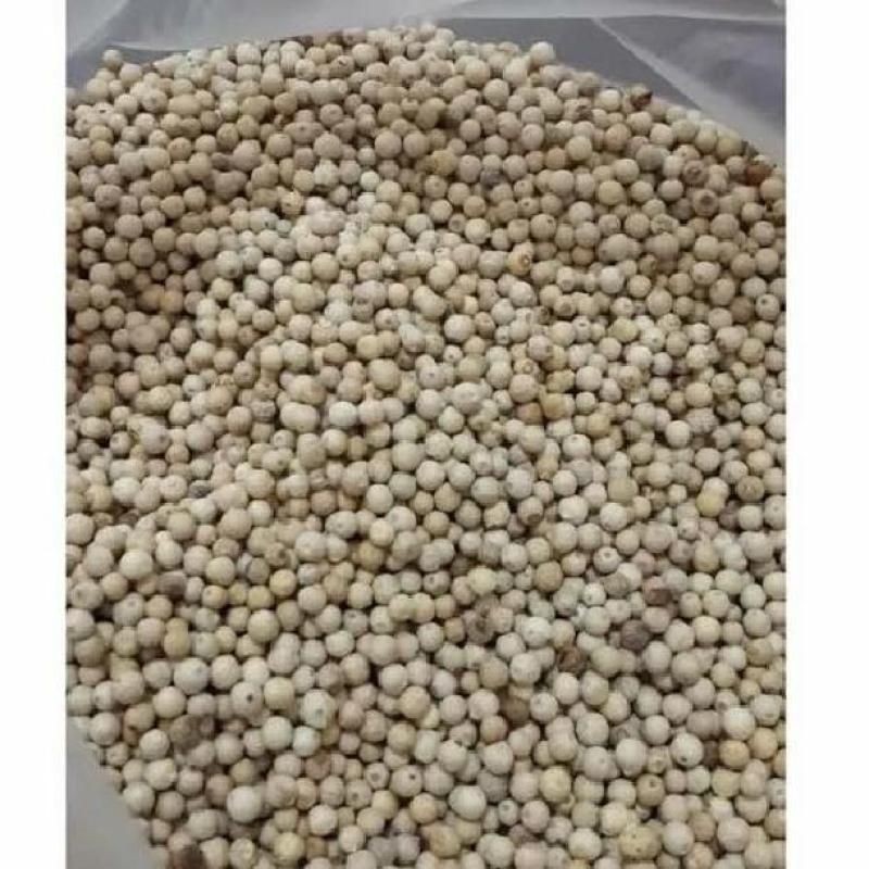 

Lada atau Merica Bulat Sachet Kecil – Bumbu Dapur Praktis dan Siap Pakai