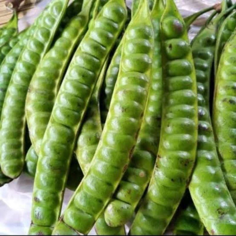 

TEBUS MURAH Pete super segar per 3papan jamin tua