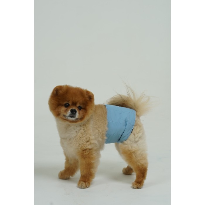 Pawlovin - Manner Belt Pampers Anjing Premium Waterproof - Blue, Size L