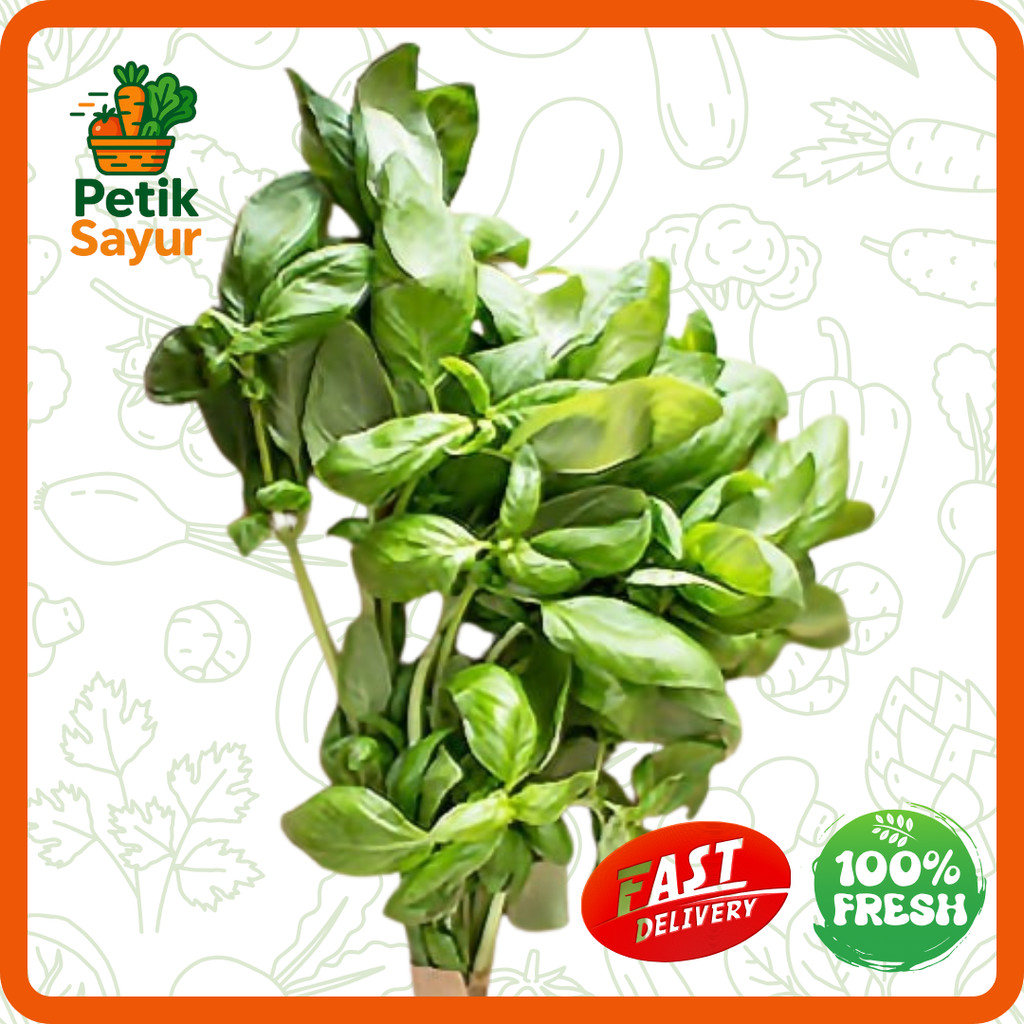 

Daun Basil Konvensional 50 gram PetikSayur