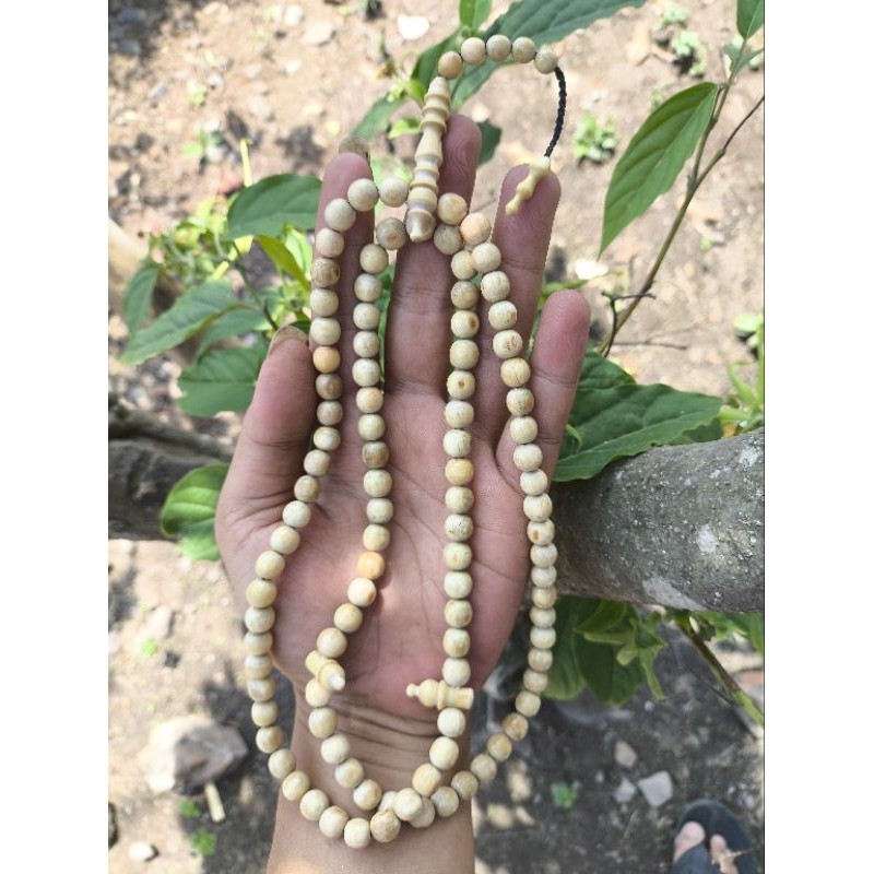 TASBIH FOSIL AKAR BAHAR PUTIH ASLI NATURAL 99 BUTIR