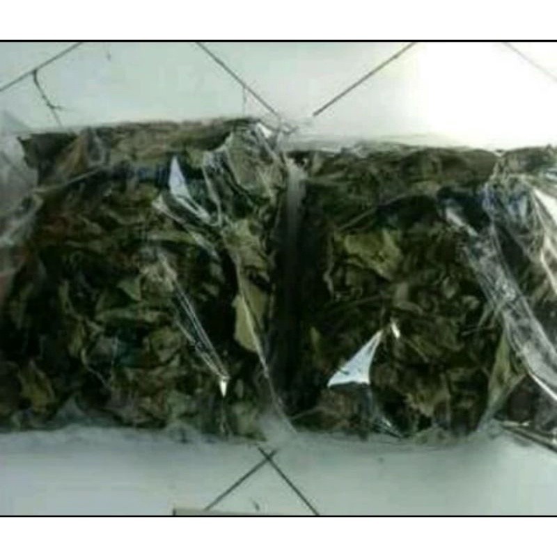 

terbaik daun kejibeling kering 100 gram/keji beling kering FA
