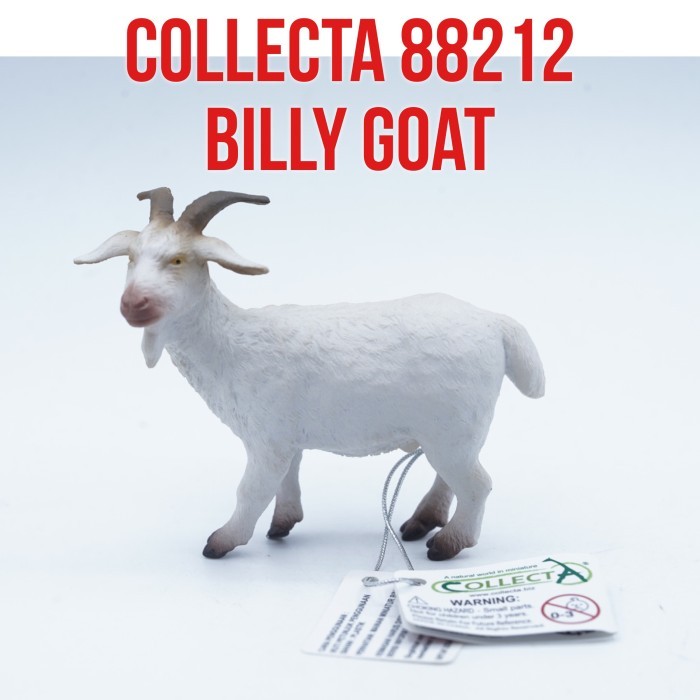 Collecta 88212 Billy Goat Kambing Jantan Capra Hircus Mainan Figure Binatang Miniature Hewan Animal 