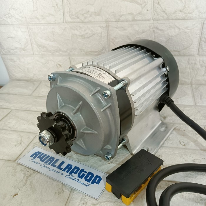 bldc 48v-60v 1200w 1000w becak listrik odong-odong motor brushless mobil motor listrik 3phase gearbo