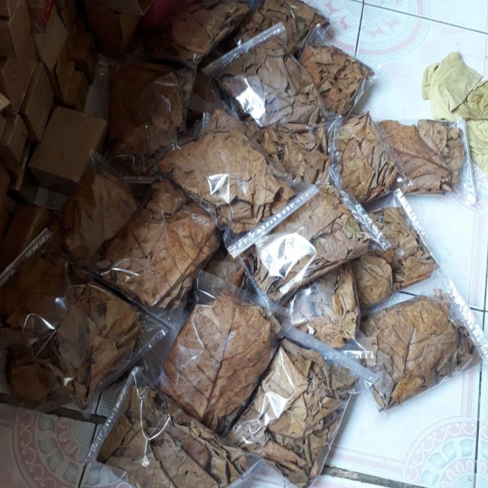 

DAUN KETAPANG KERING 50g ASLI / DAU KETAPANG PENURUN PH AIR