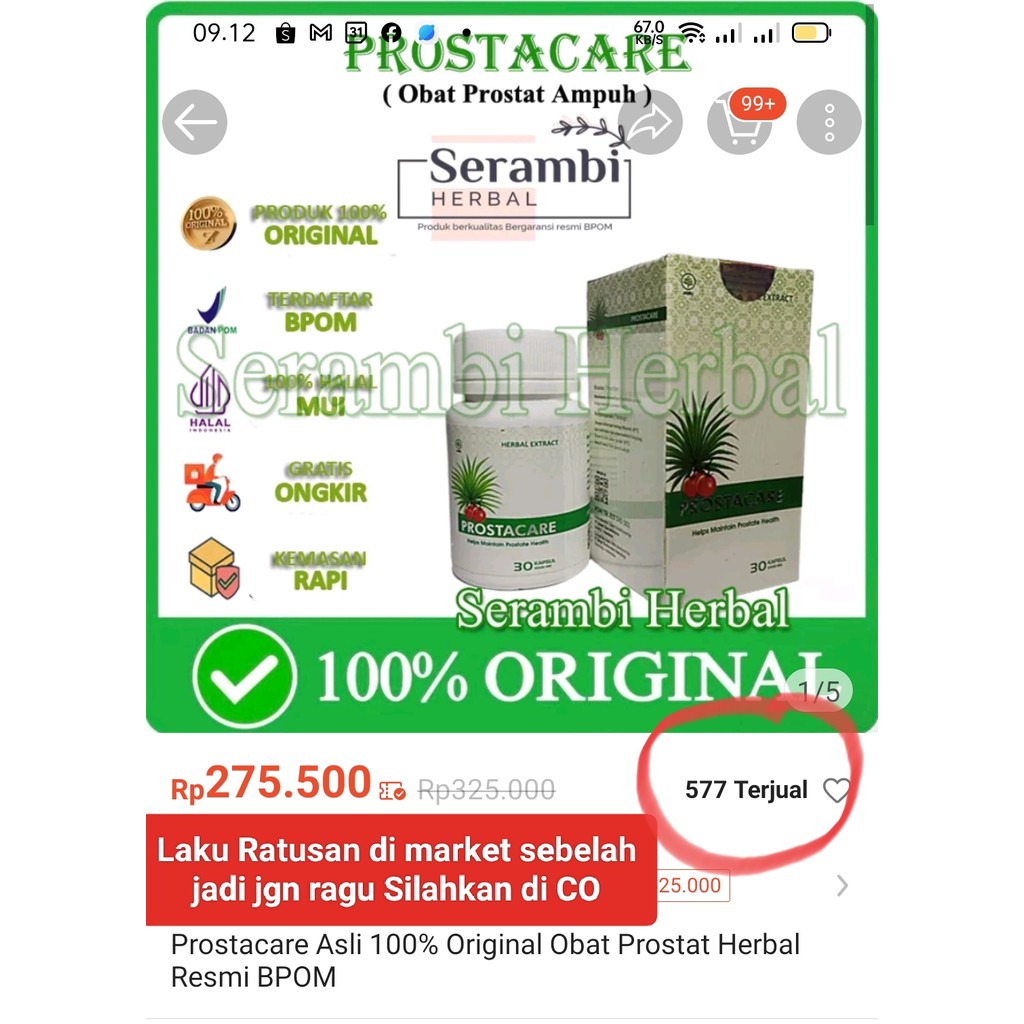 

Prostacare Asli 100% Original Obat Prostat Herbal Resmi BPOM Merangsang gai rah memperlancar peredaran darah joklen9000