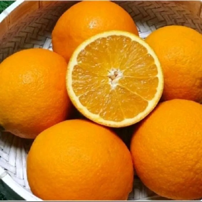 

Jeruk Sunkist Segar 250 gram