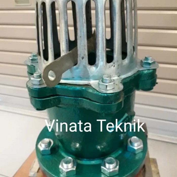 Foot Valve 8 inch DN 200 MIZU Cast Iron JIS 10K Flange Foot KlepBERKUALITAS