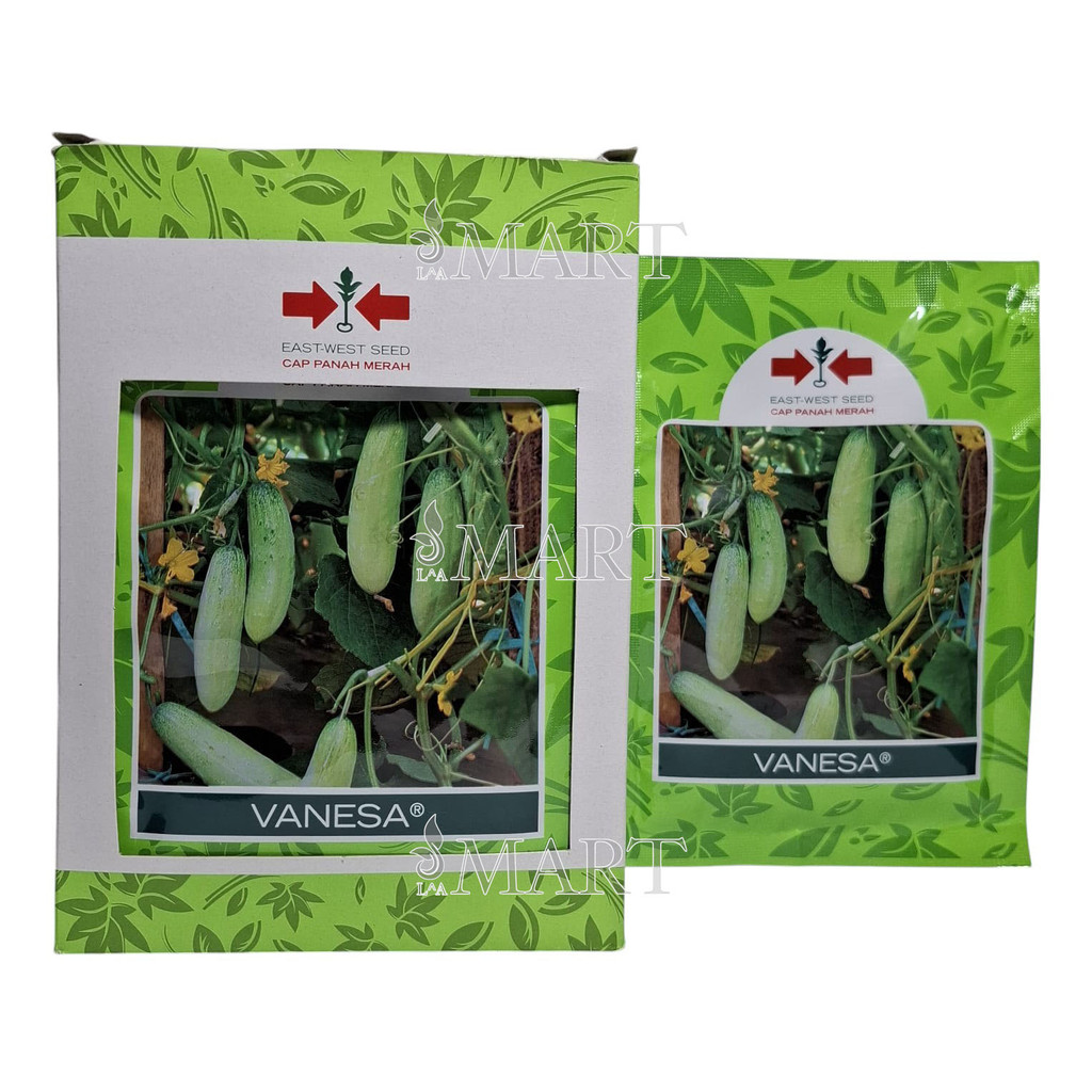 Benih Timun Mentimun VANESA Isi 20 gram Cap Panah Merah