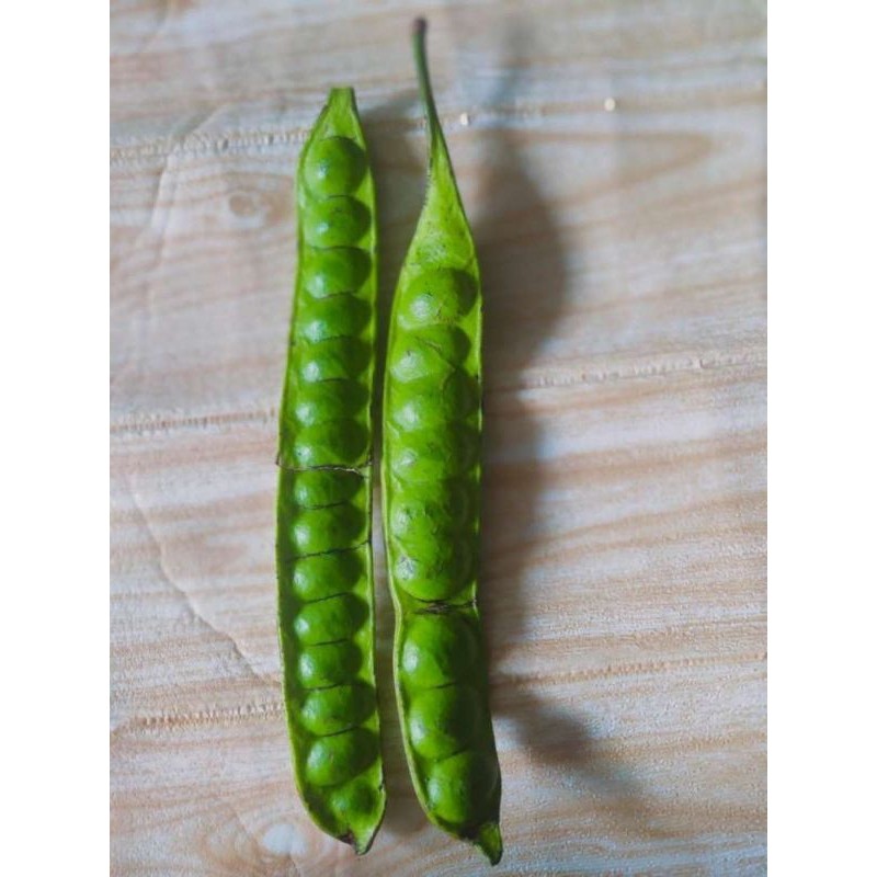 

TEBUS MURAH Fresh pete petai per 10papan