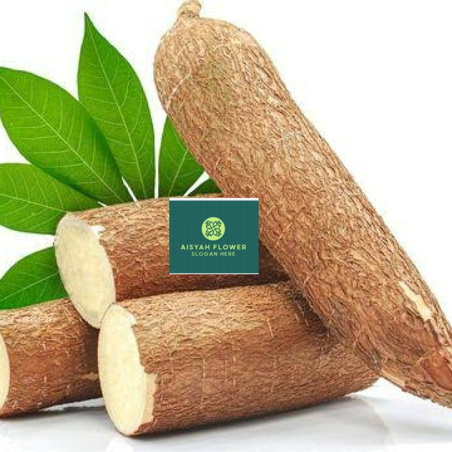 

Singkong Mentah 1 Kg / Singkong Mentega / Singkong Kuning