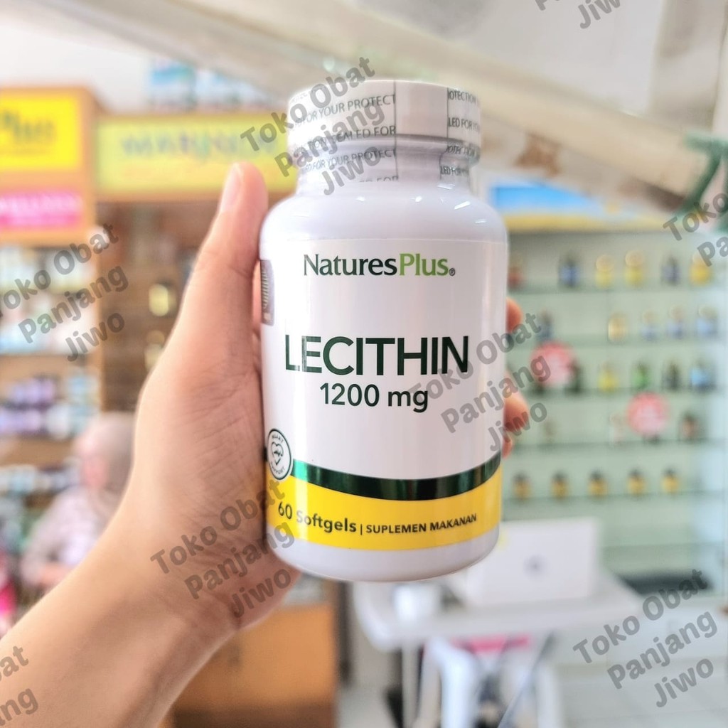 NATURE'S NATURES NATURE PLUS LECITHIN 1200MG [60 SOFTGELS]