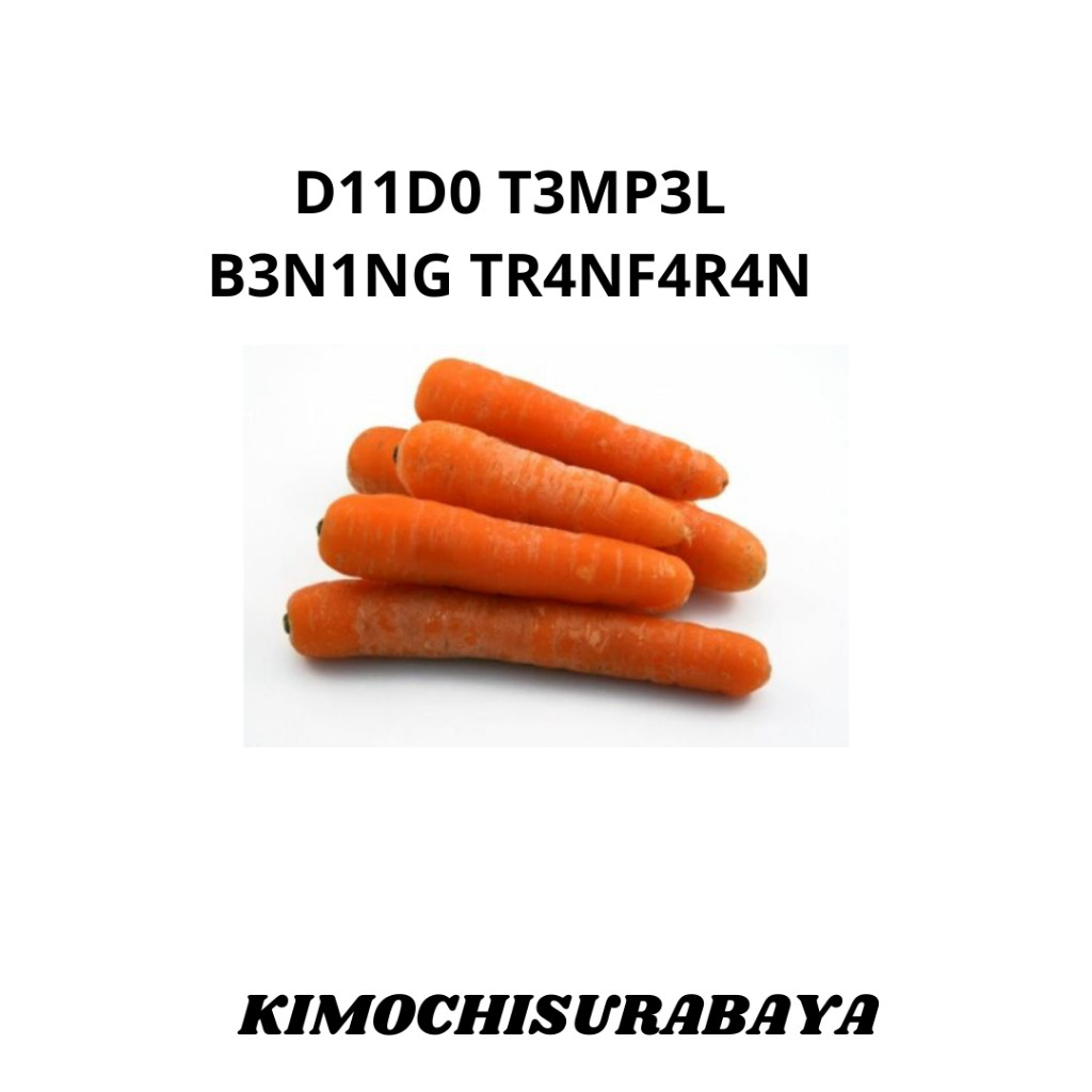 

Produk Terbaru Dari Kami Terppuler wortel brastagi import ~ violamartt