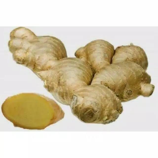 

Lempuyang fress dari kebun 1kg