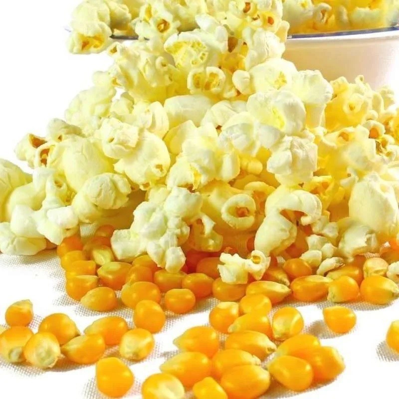 

Jagung Pop Corn Mentah BipPopCorn