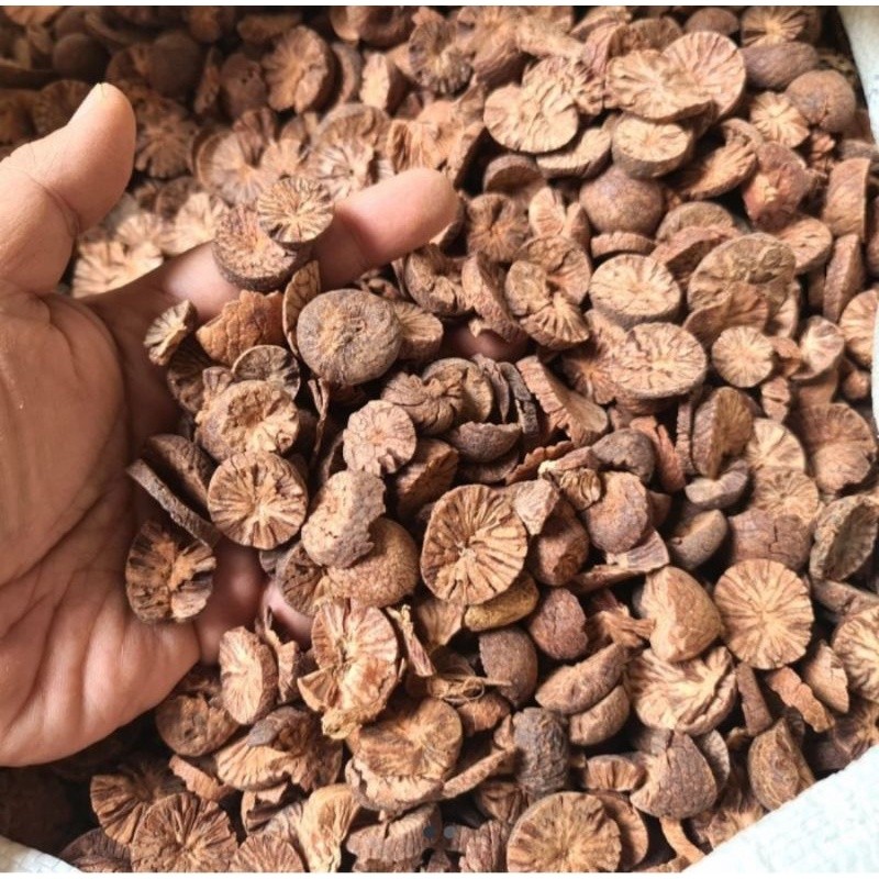 

Pinang Muda Iris Kering 500gr - Jambe Muda Iris Kering