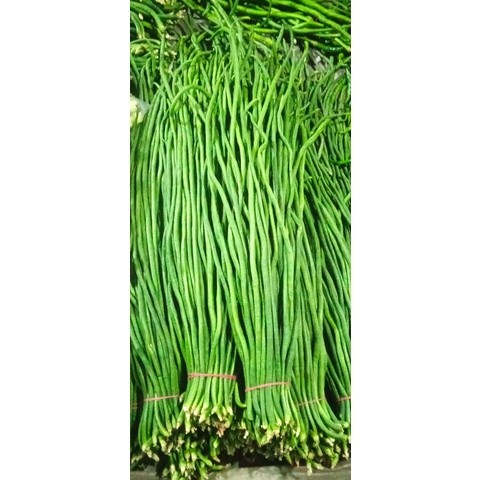 

kacang panjang 1kg