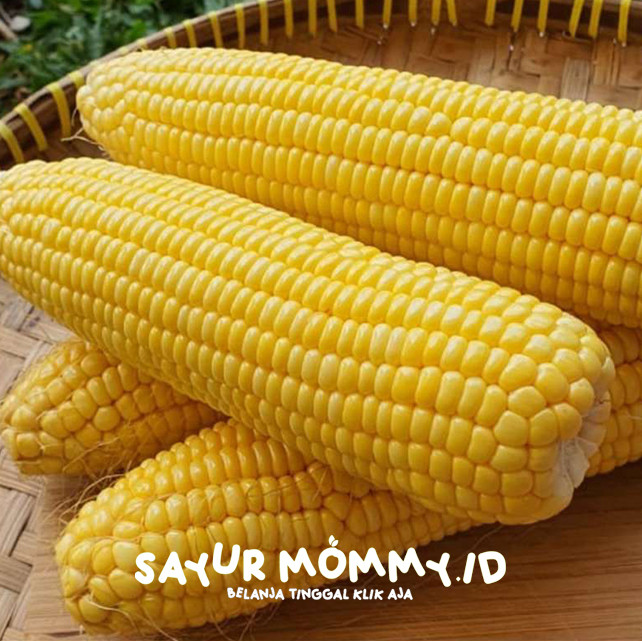 

Jagung Manis 1 kg