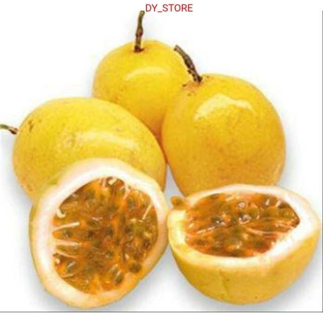 

Terlaris Buah markisa kuning matang 1kg rasa manis campur asam