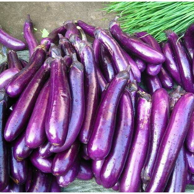 

Sayur terong ungu tanggung Fresh Segar 1 Kg BRKAH