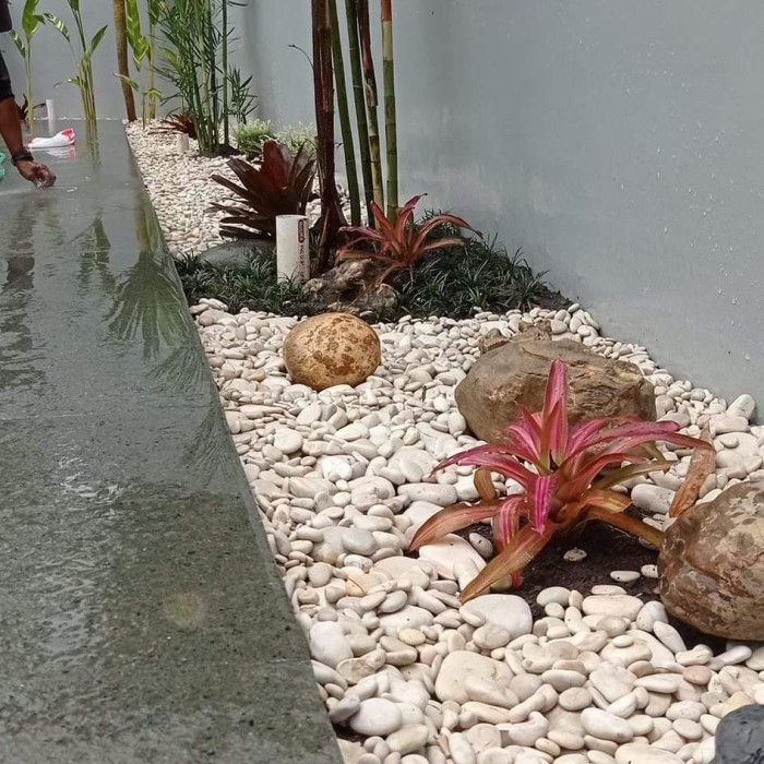 taman kering minimalis batu koral