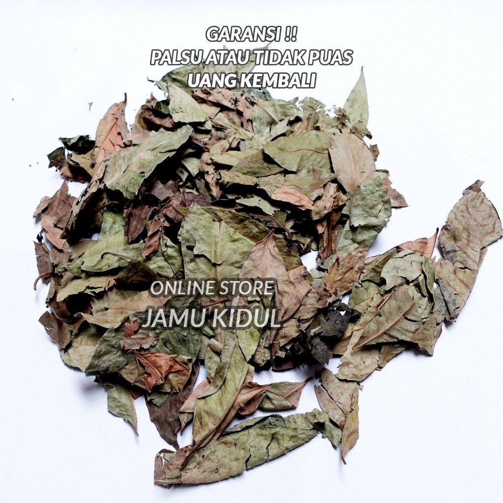 

Daun Salam Kering 1kg Organik dan Bersih