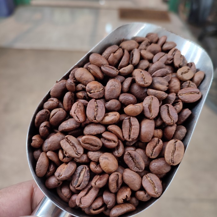 

Kopi Arabika Aceh Gayo Natural 250 Gram - Giling Halus