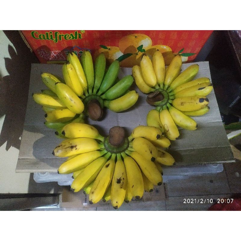 

BUAH PISANG MAS ORGANIC UDBUAH 3 SAUDARA