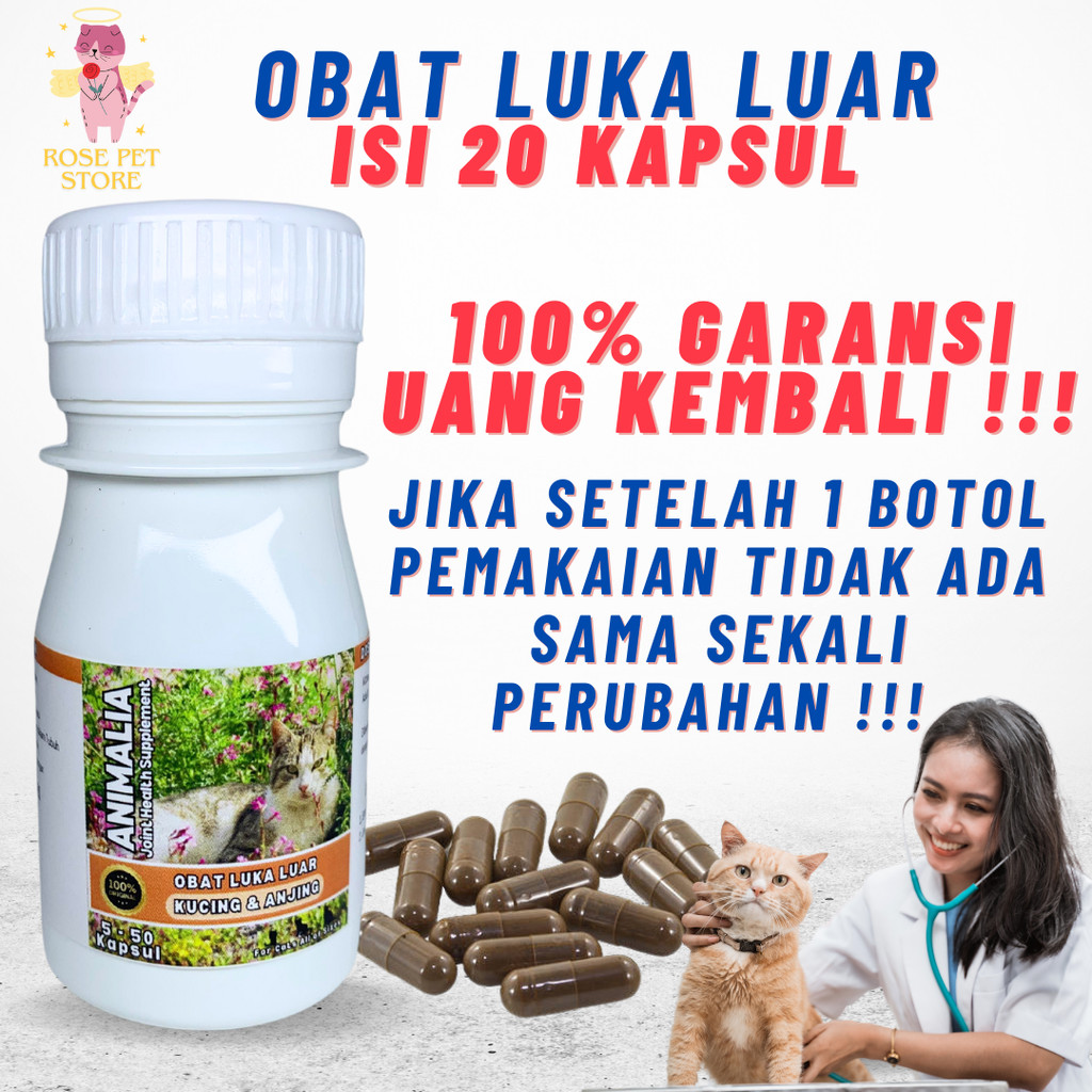 OBAT LUKA KUCING EKSTRAK IKAN GABUS  SUPLEMEN PENYEMBUH LUKA KUCING TERBUKA BASAH BERANTEM BERNANAH 